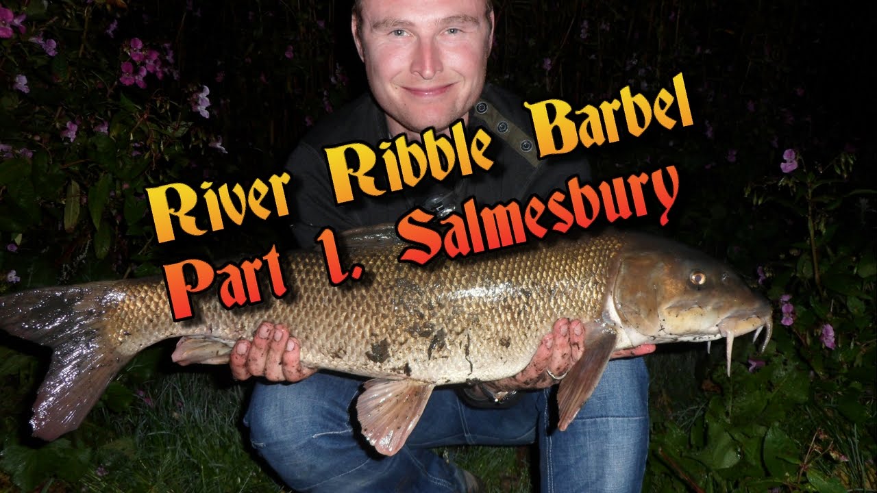 River Ribble Barbel part 1. Samlesbury