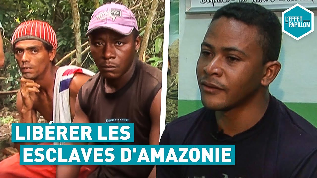 Libérer les esclaves d'Amazonie (Brésil) - L'Effet Papillon