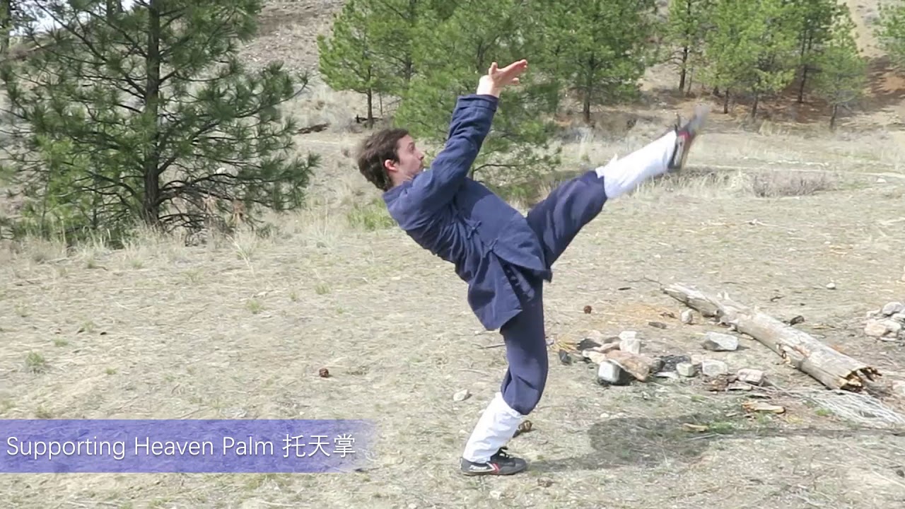 Wudang Baguazhang 武当八卦掌