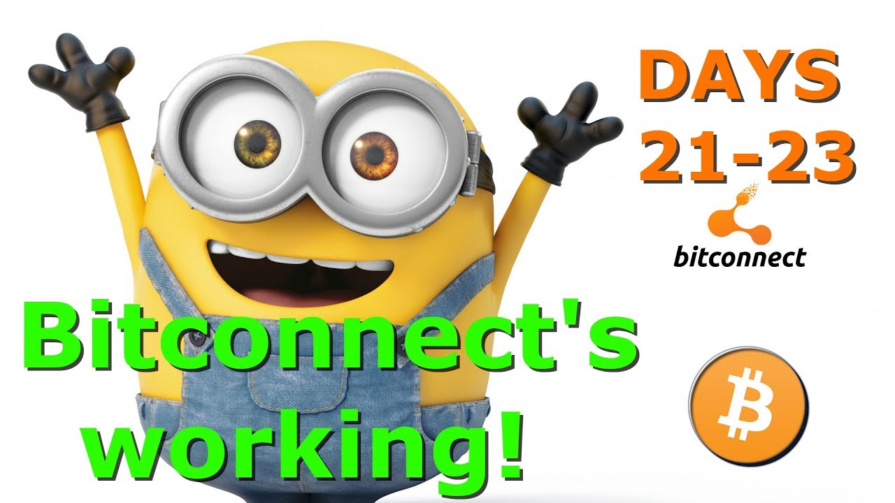 Bitconnect Lending Experiment