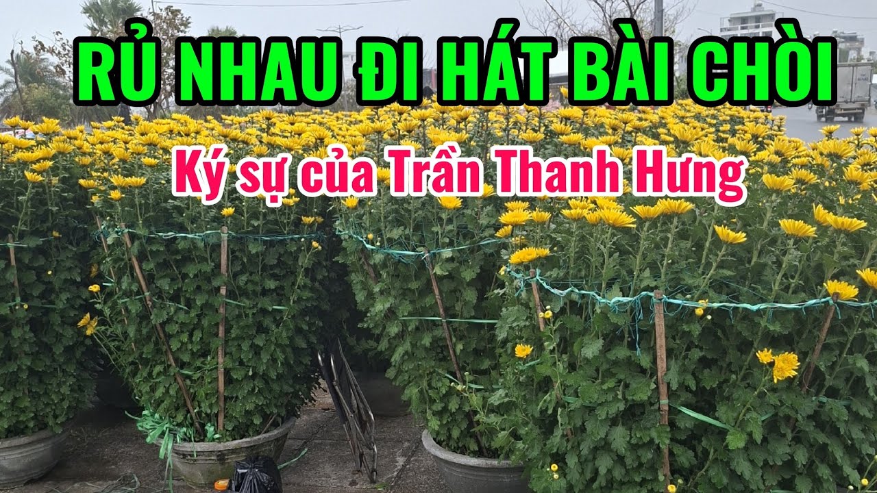RỦ NHAU ĐI HÁT BÀI CHÒI. KÍ SỰ CỦA TRẦN THANH HƯNG