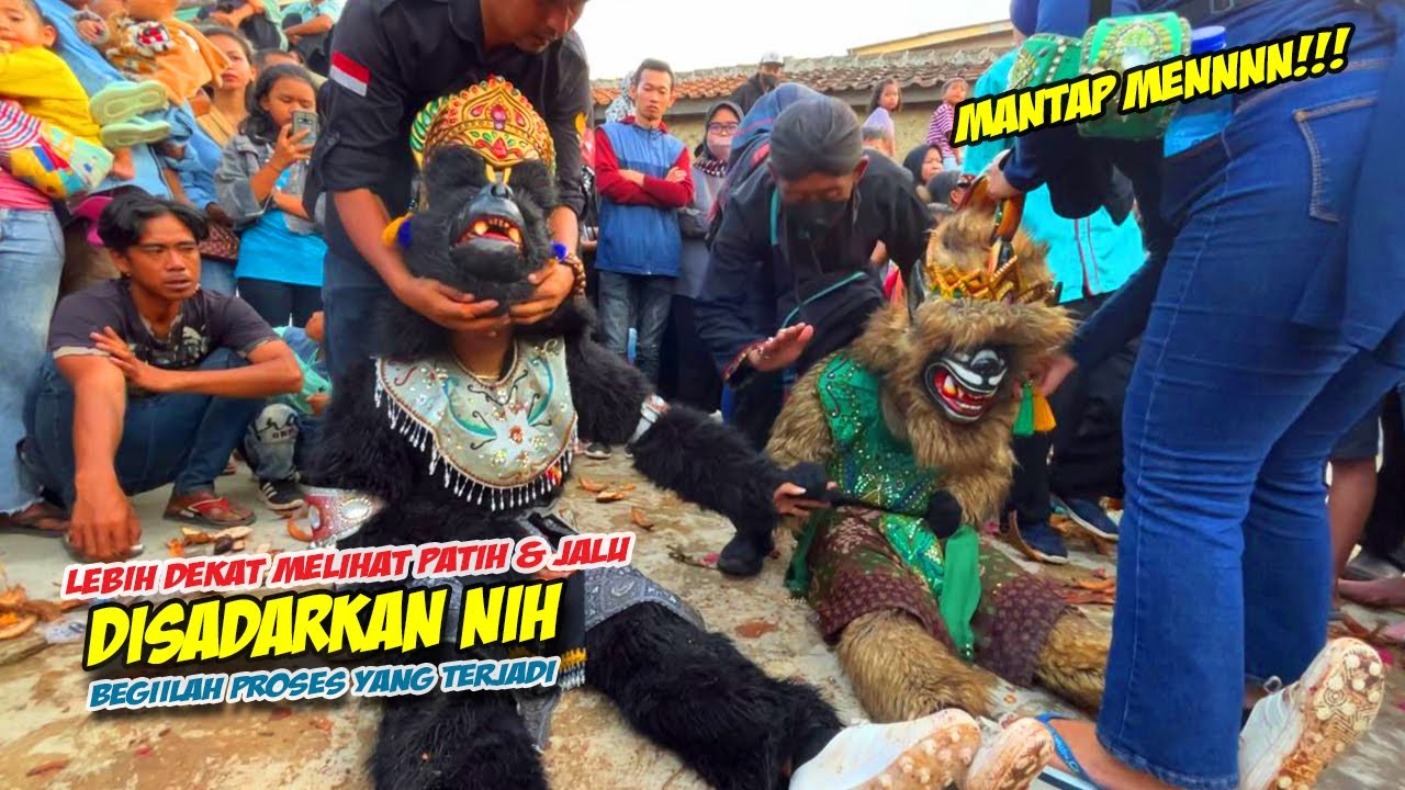 VIBES LEBIH DEKAT MELIHAT HANOMAN PATIH & JALU DISADARKAN SANG PAWANG ❗❗KUDA LUMPING MSP🔥 BARGOLA TV