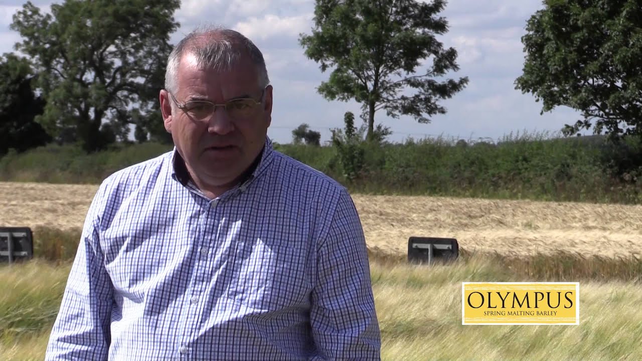 Olympus Spring Barley - 1 Minute Variety Video