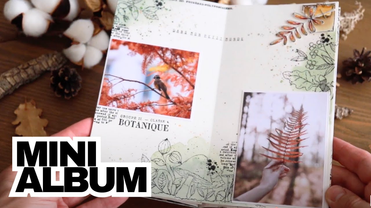 Mini album｜Quand la Nature se teinte d’Ocre et de Calme｜Mini album automnal