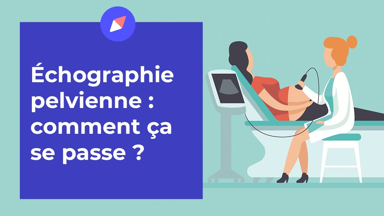 &Eacute;chographie pelvienne : comment &ccedil;a se passe ? - Question Gyn&eacute;co