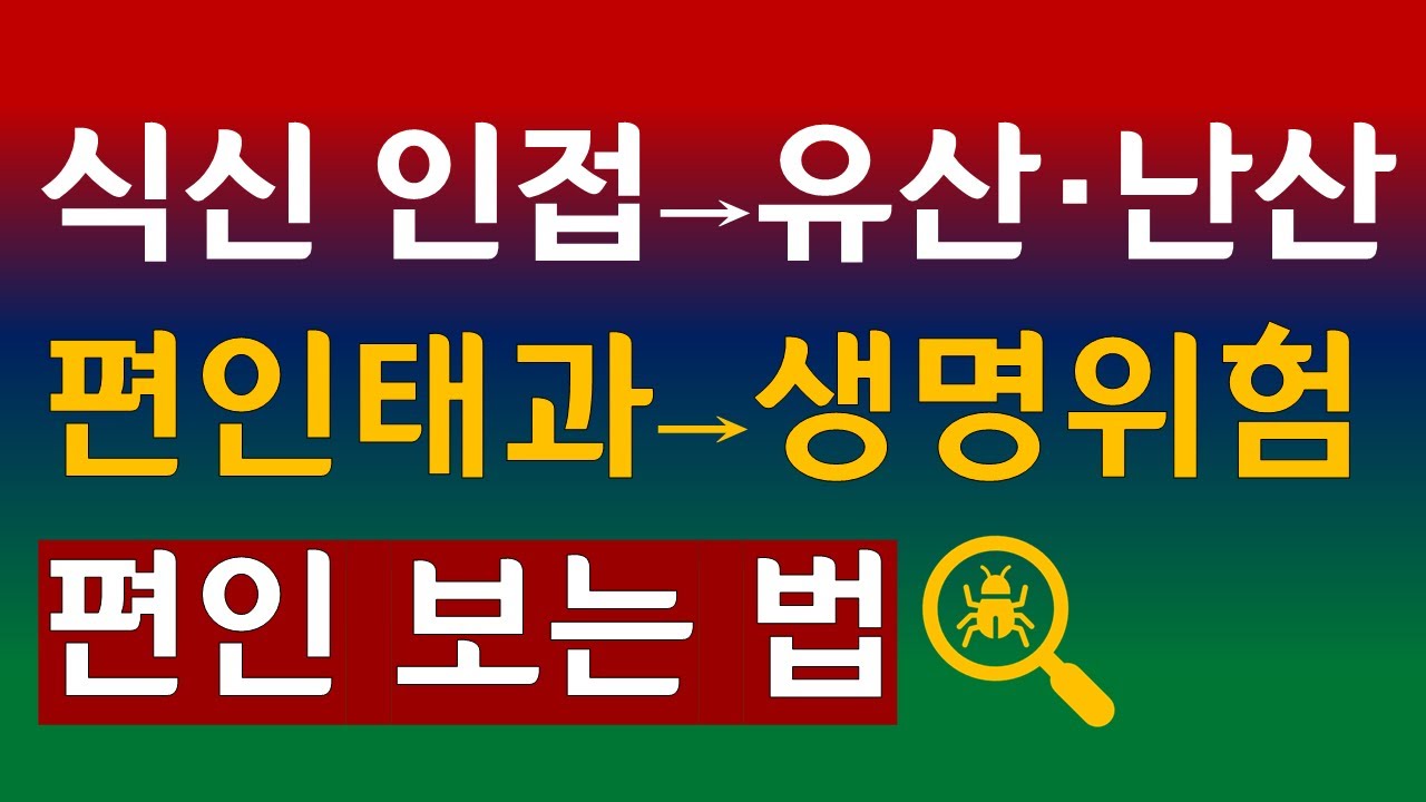 편인, 편인간명, 편인보는법, 편인많은사주, 유산하는사주