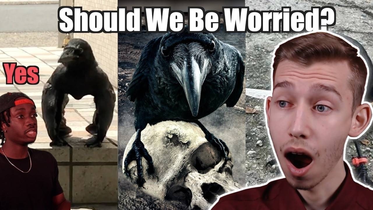 How Crows Gave Earth's Biggest City the Middle Finger REACTION!