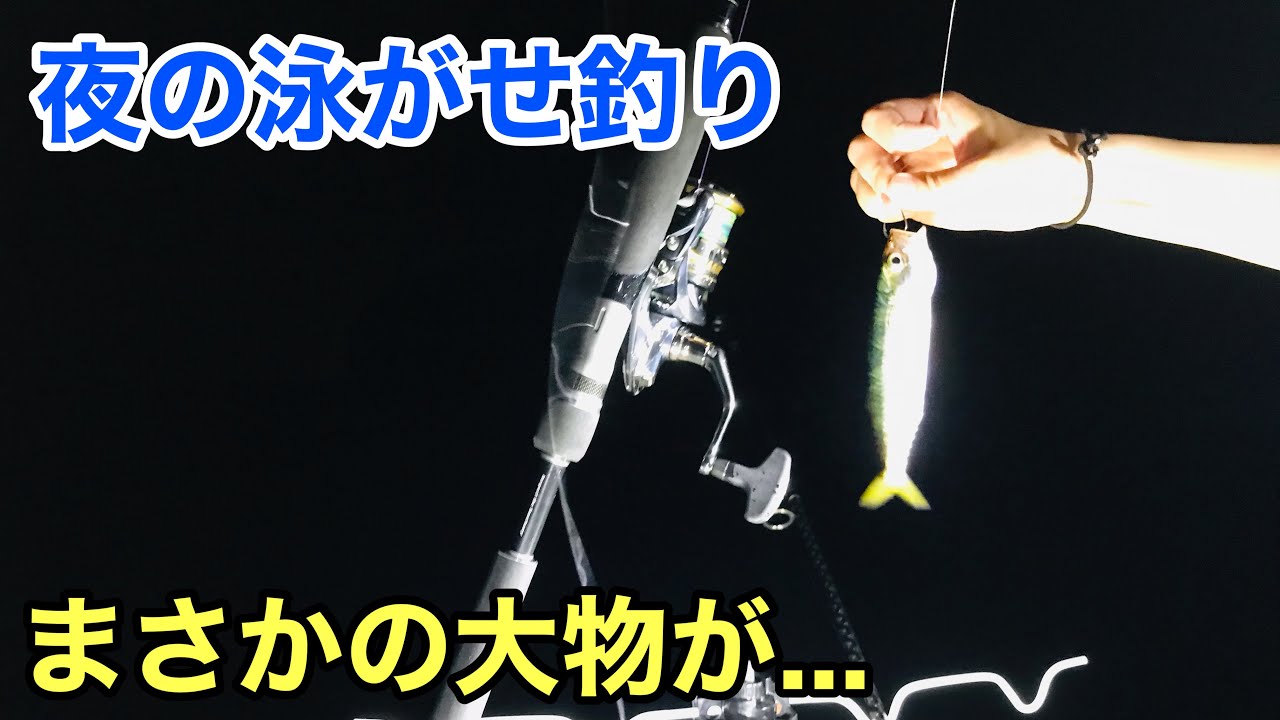 夜の堤防で生きたサバを泳がせたらまさかの結果だった…