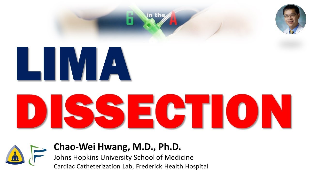 LIMA Dissection