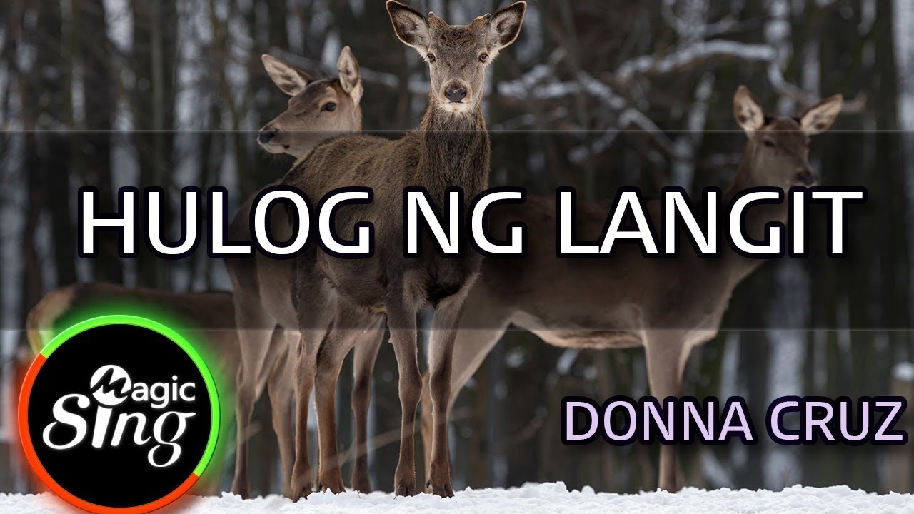 [MAGICSING Karaoke] DONNA CRUZ_HULOG NG LANGIT karaoke | Tagalog