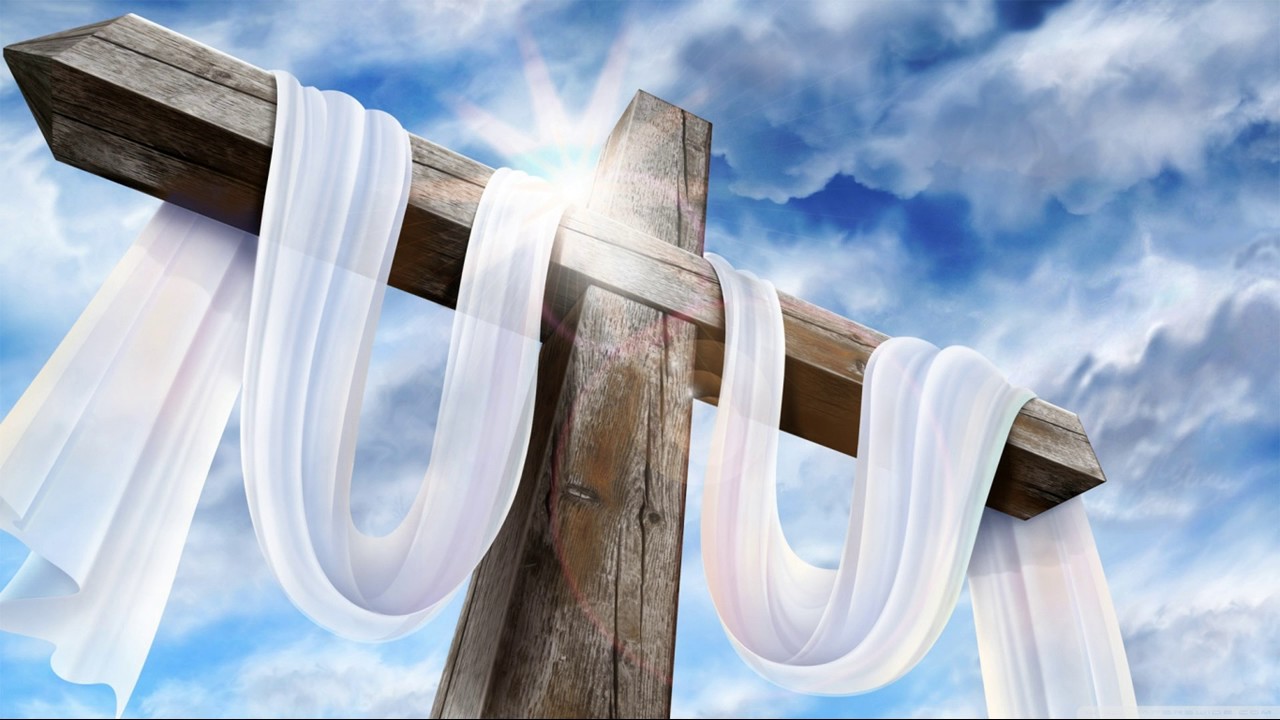 LANGA DOMNUL VESNIC VOI RAMANE-NEG. ORIGINAL