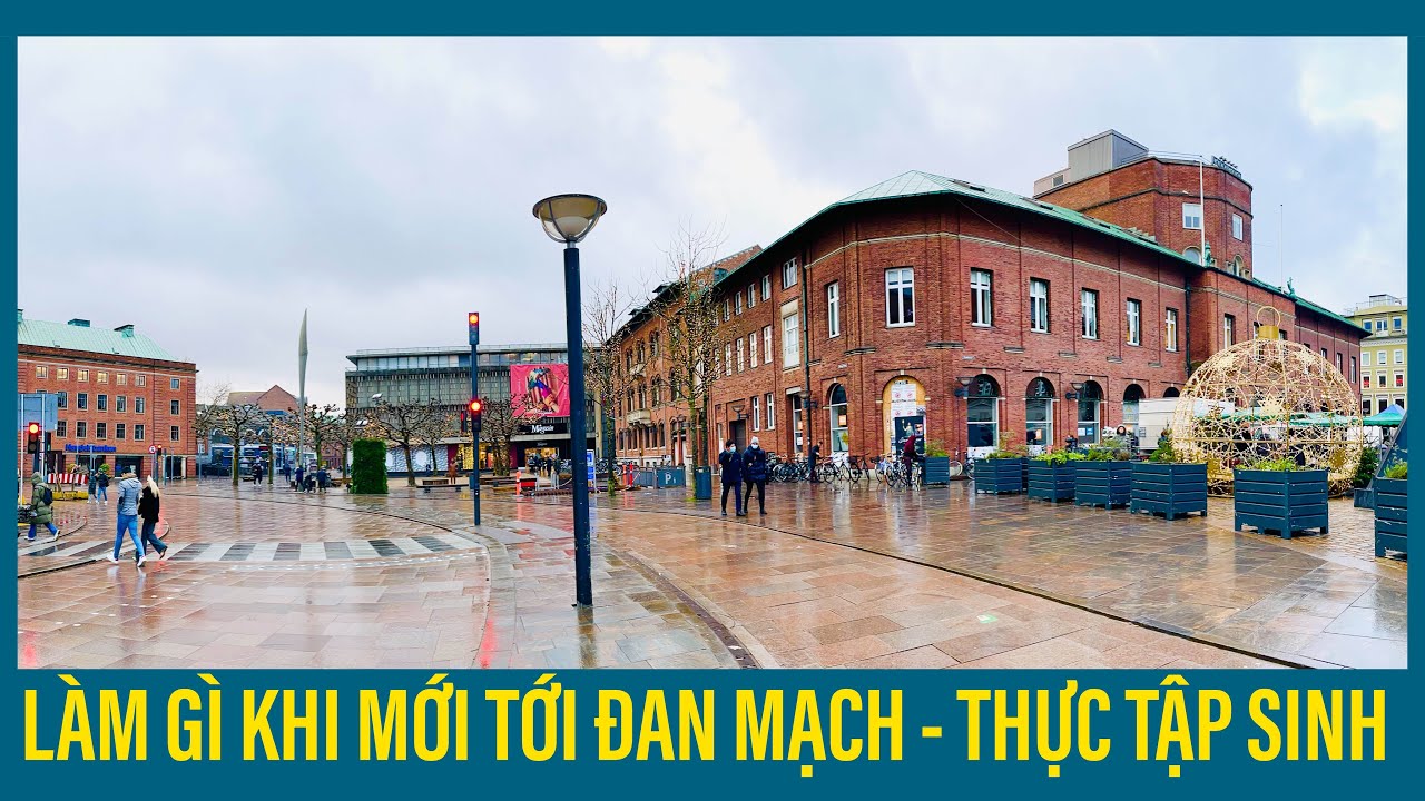 #23 Quá trình làm thủ tục lên máy bay và quá cảnh sang Đan Mạch - Lần đầu đi máy bay