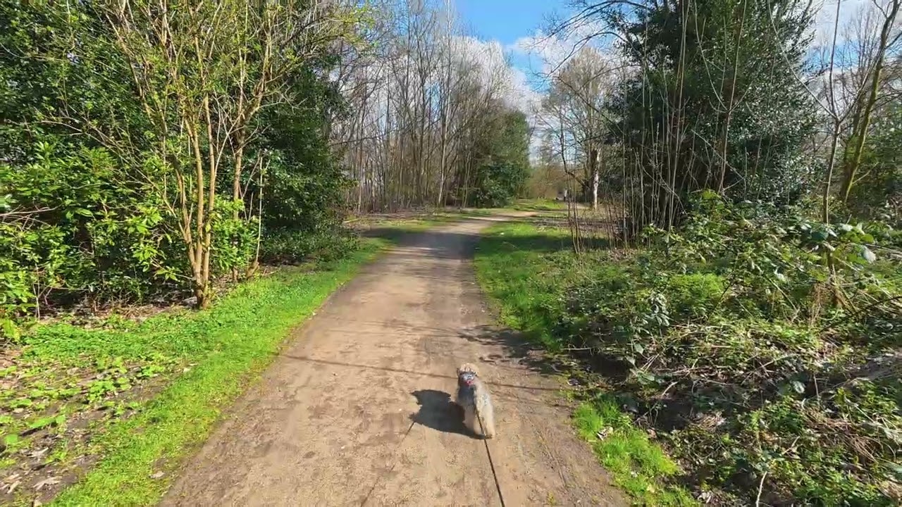 Park action cam