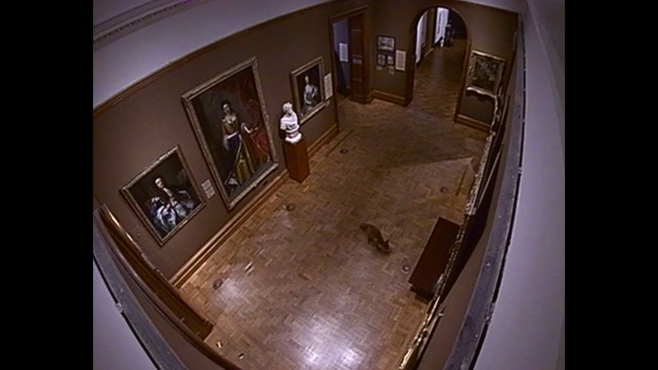 Francis Alÿs - The Nightwatch