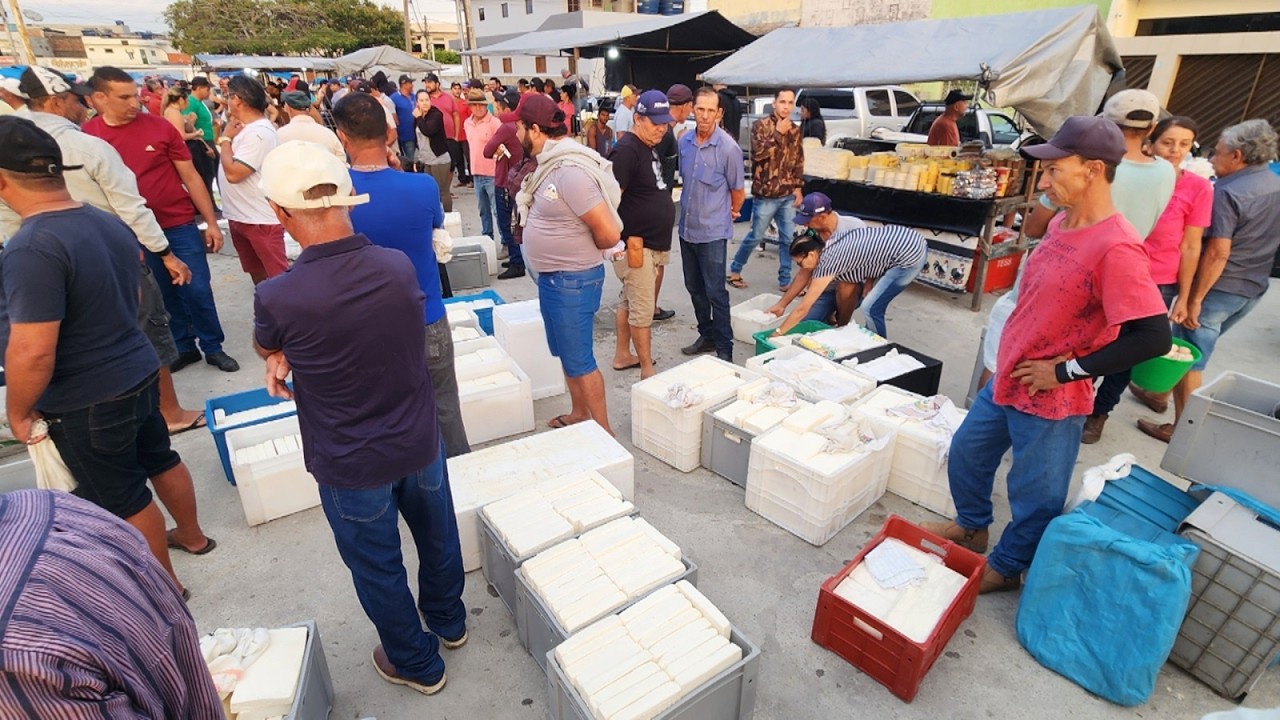 QUEIJO DELICOSO DE 18 REAIS EM CACHOEIRINHA-PE