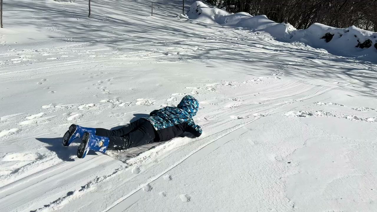 @AleksandarJevtic-v8m 