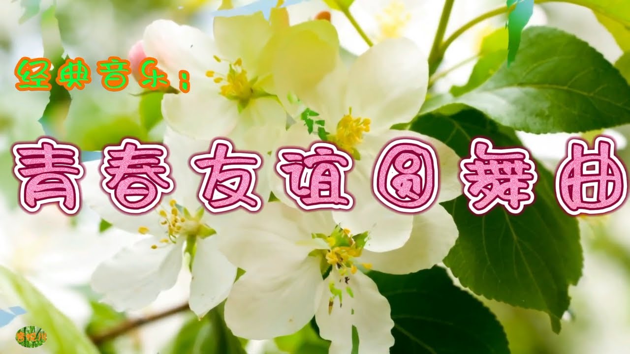 青春友谊圆舞曲。经典音乐。温哥华加华知青之友。