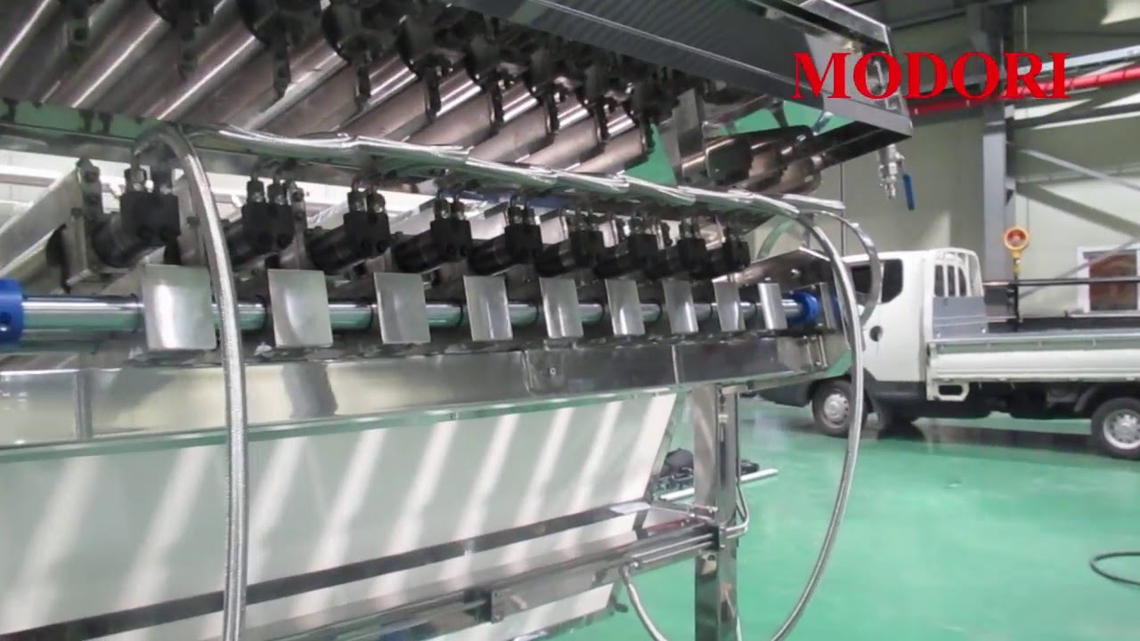 Fish Grading Machine (www.modoricorp.com)