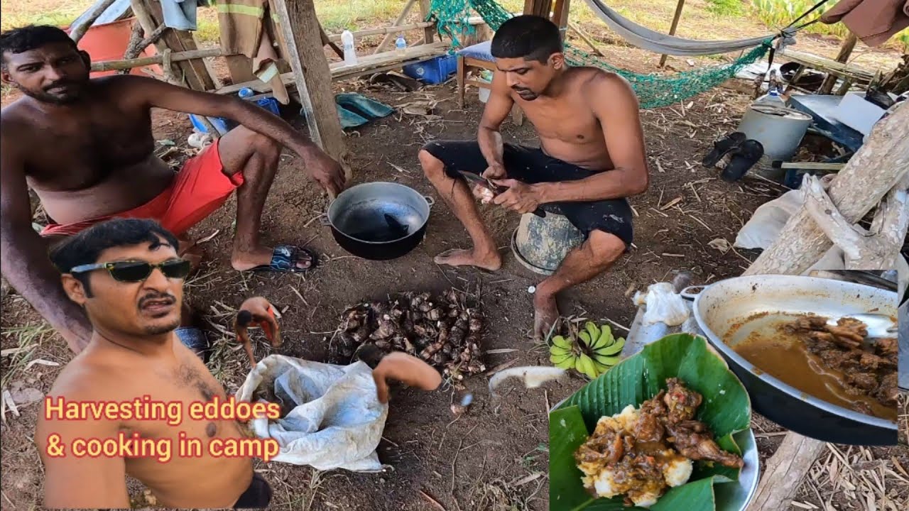 Cooking with shaggy & scooby by the garden camp / best doubles in princess town .