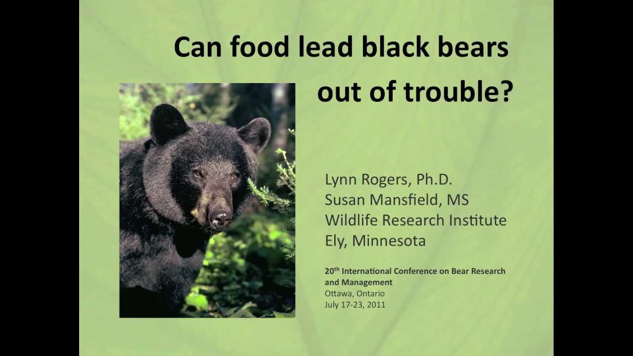 Diversionary Feeding: Can food lead black bears out of trouble?