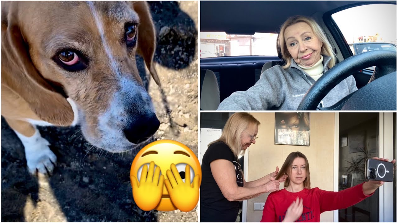 Побазарувала😉Що з Кеті🫣Перукарня для Віки😜