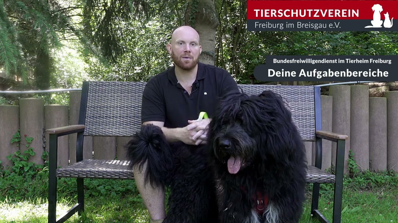 Bundesfreiwilligendienst im Tierheim Freiburg