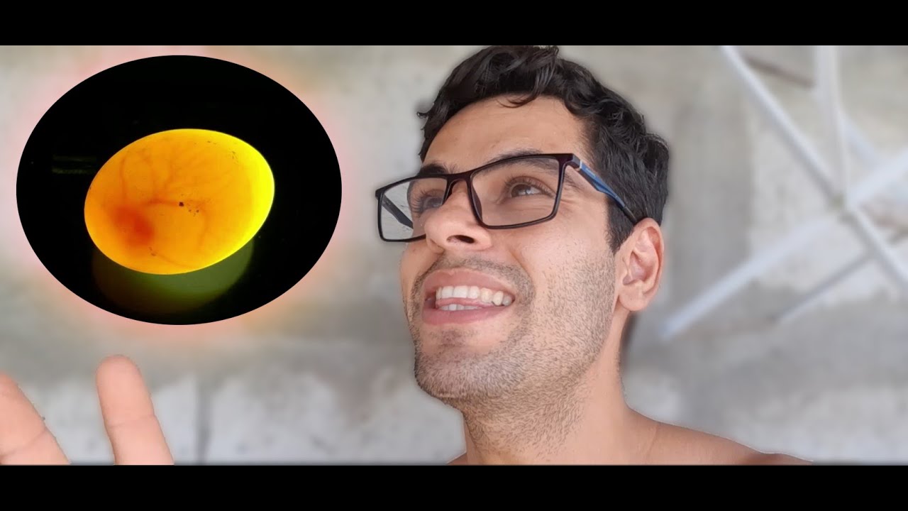 FAZENDO A OVOSCOPIA