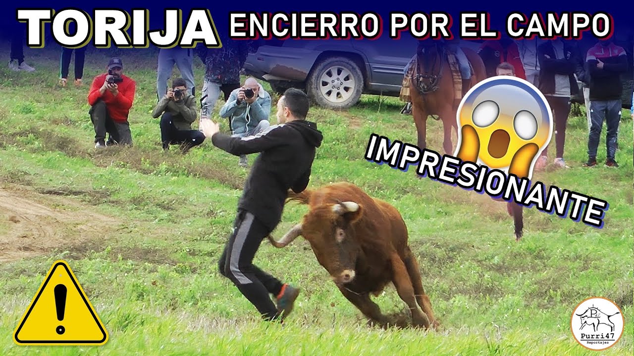 👀🚨UFF!! AJUSTANDO EN EL CAMPO!!🌾ENCIERRO POR EL CAMPO 💥💎TORIJA