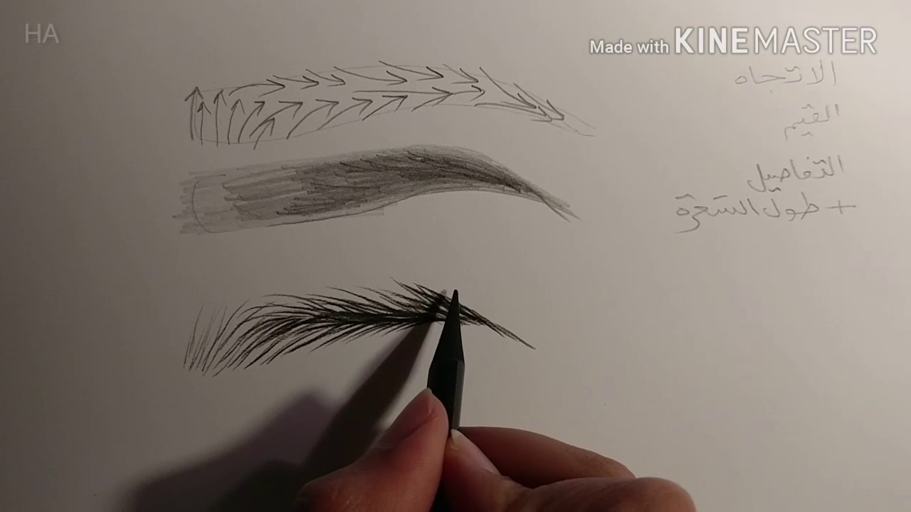 رسم الحاجب