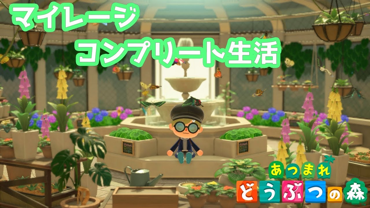 【あつまれ どうぶつの森】ホテル経営スローライフ【277日目】