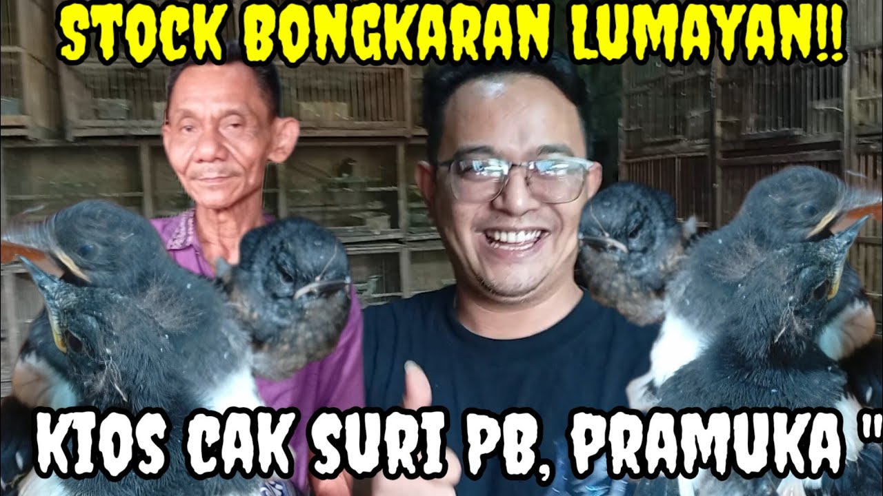 Stock Bongkaran Lumayan!! kios cak suri PB, pramuka 