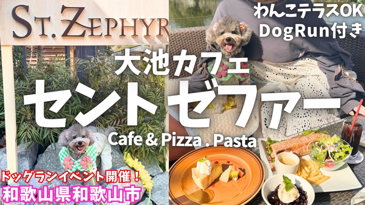 【和歌山グルメ】話題の大池カフェ セントゼファーで絶景と絶品グルメを堪能🐶【犬と行けるカフェ・ドッグラン・ST.ZEPHYR・道の駅】