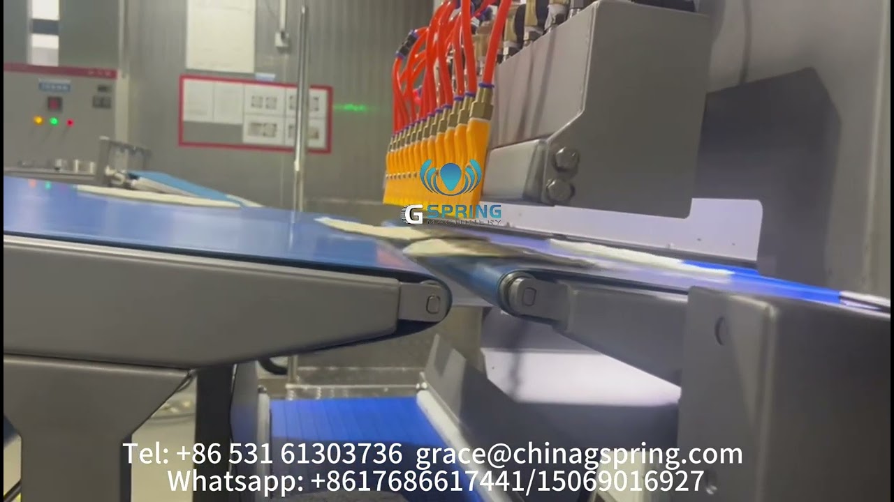 Tortilla Maker Machine Visual Inspection and Defect Removal System‌