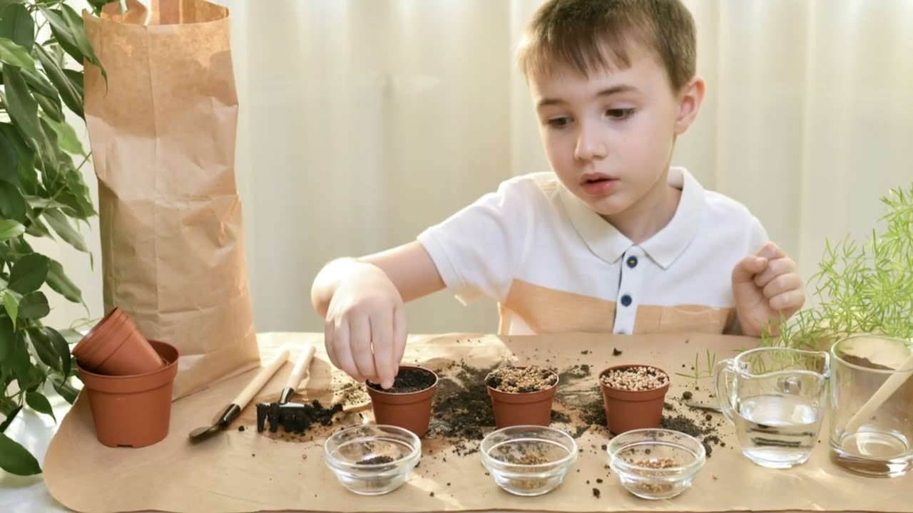 Sprouting Success  Strawberry Seeds in MINERAL WOOL