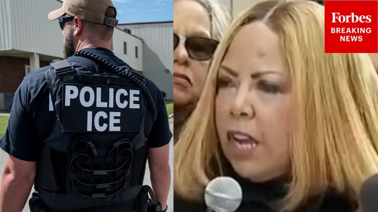 'This Is A Direct Attack On Civil Rights': Lucy McBath Criticizes ICE Operations