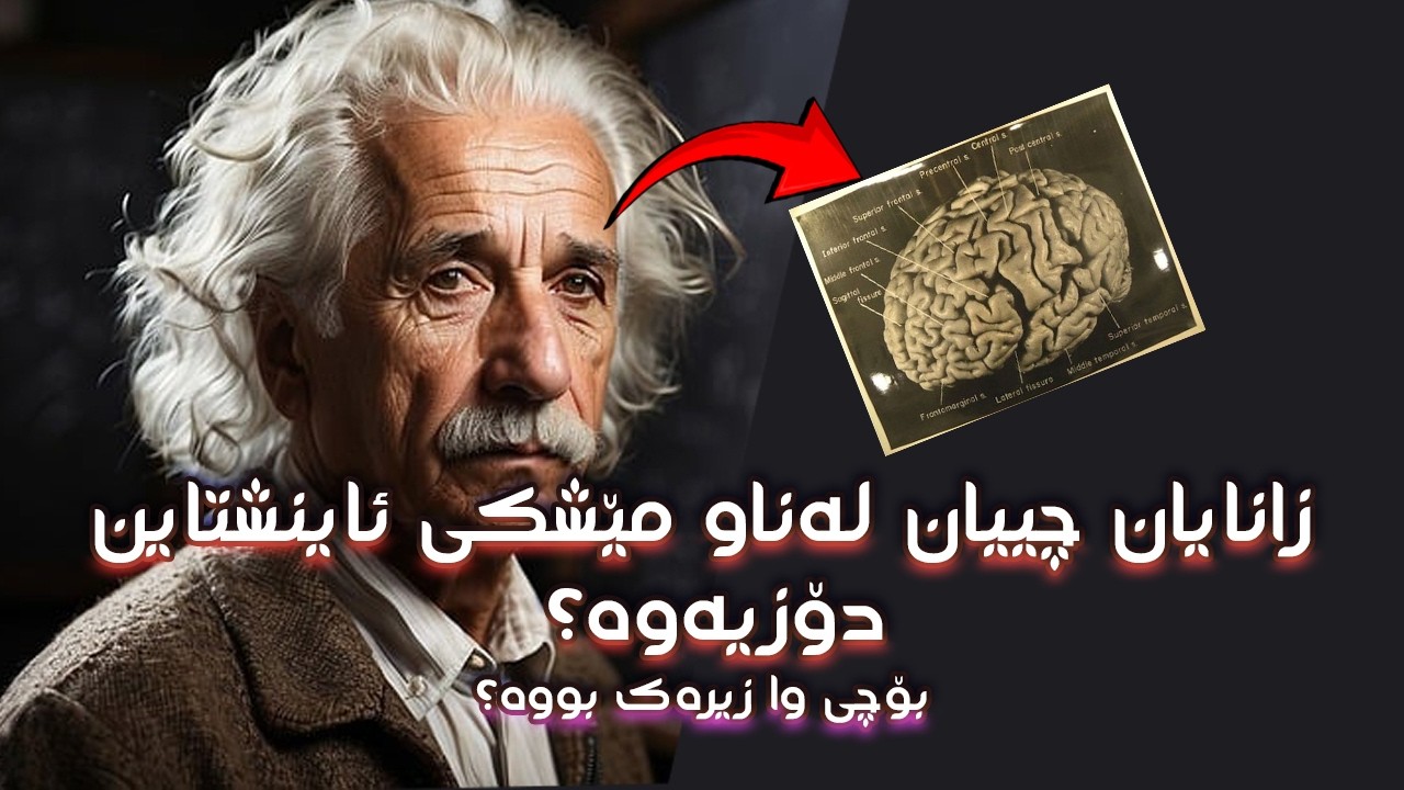 نهێنی مێشکی ئاینشتاین چی بوو؟ [بۆچی زۆر زیرەک بووە؟]