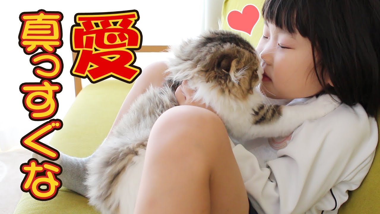 子供の真っすぐすぎる愛を真顔で全て受け入れる猫がかわいい