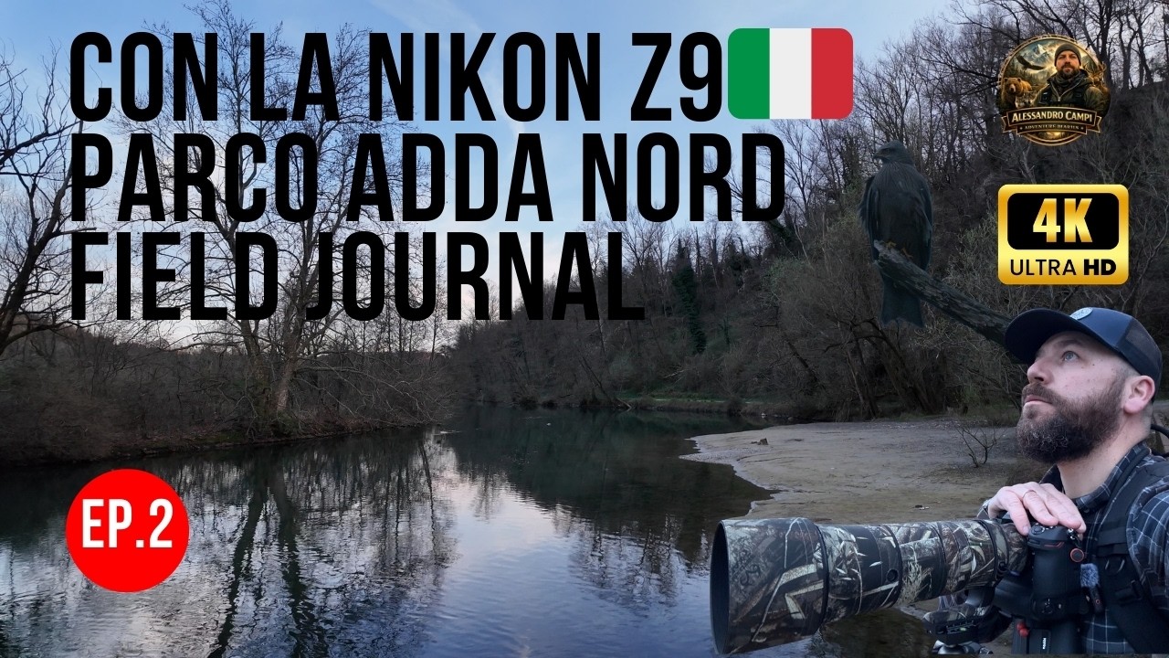 POIANA da vicino 🦅 | Nikon Z9 al Parco Adda Nord – Field Journal EP.2