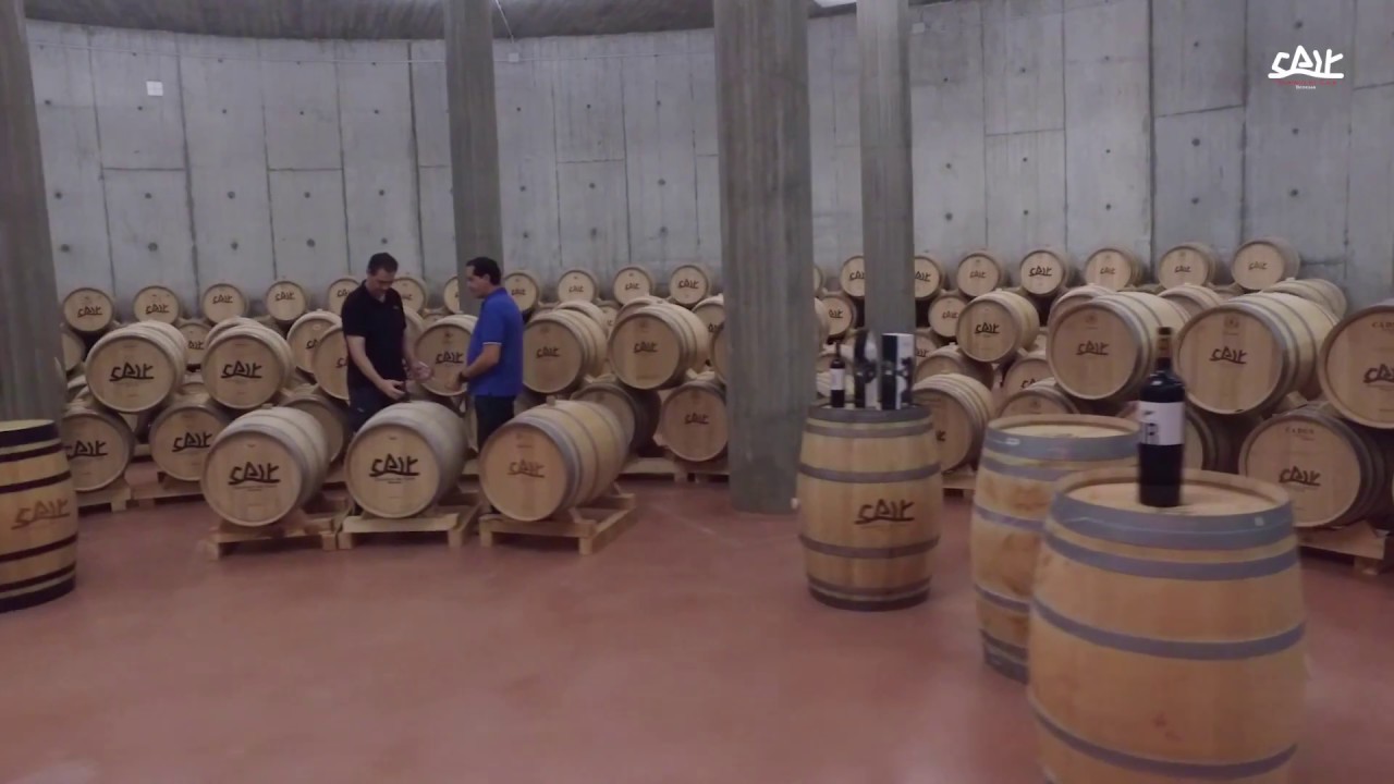Vendimias a vista de pájaro: Bodegas Dominio de Cair ( D.O. Ribera del Duero)