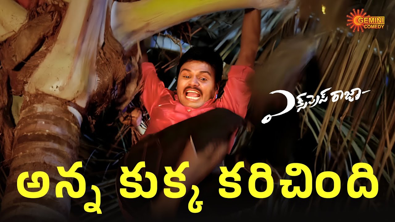 Kukka Dorikithene Nee Bag Neku Ichede | Express Raja | Sharwanand | Surbhi | Telugu Comedy scene