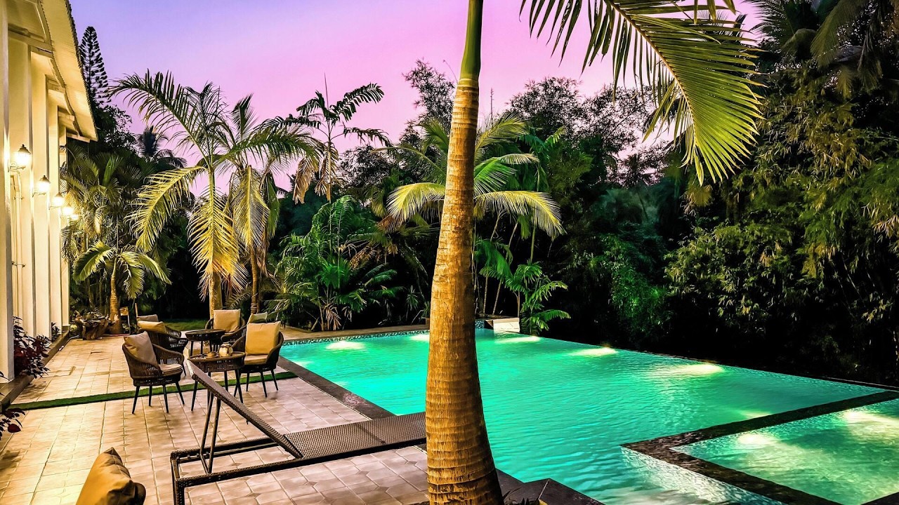 Aeraki palms, Dahanu, India | Travel With Anvika