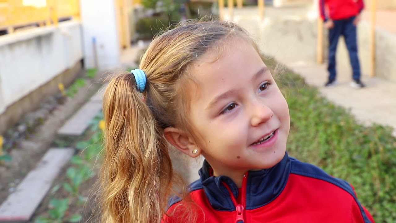 PROYECTO CEIP PEDRO SIMON ABRIL   HD 1080p