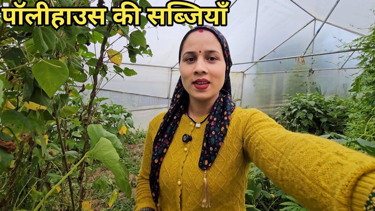 दीदी करती है पॉलीहाउस में खूब मेहनत || Preeti Rana @PriyankaYogiTiwari || Pahadi lifestyle vlog 