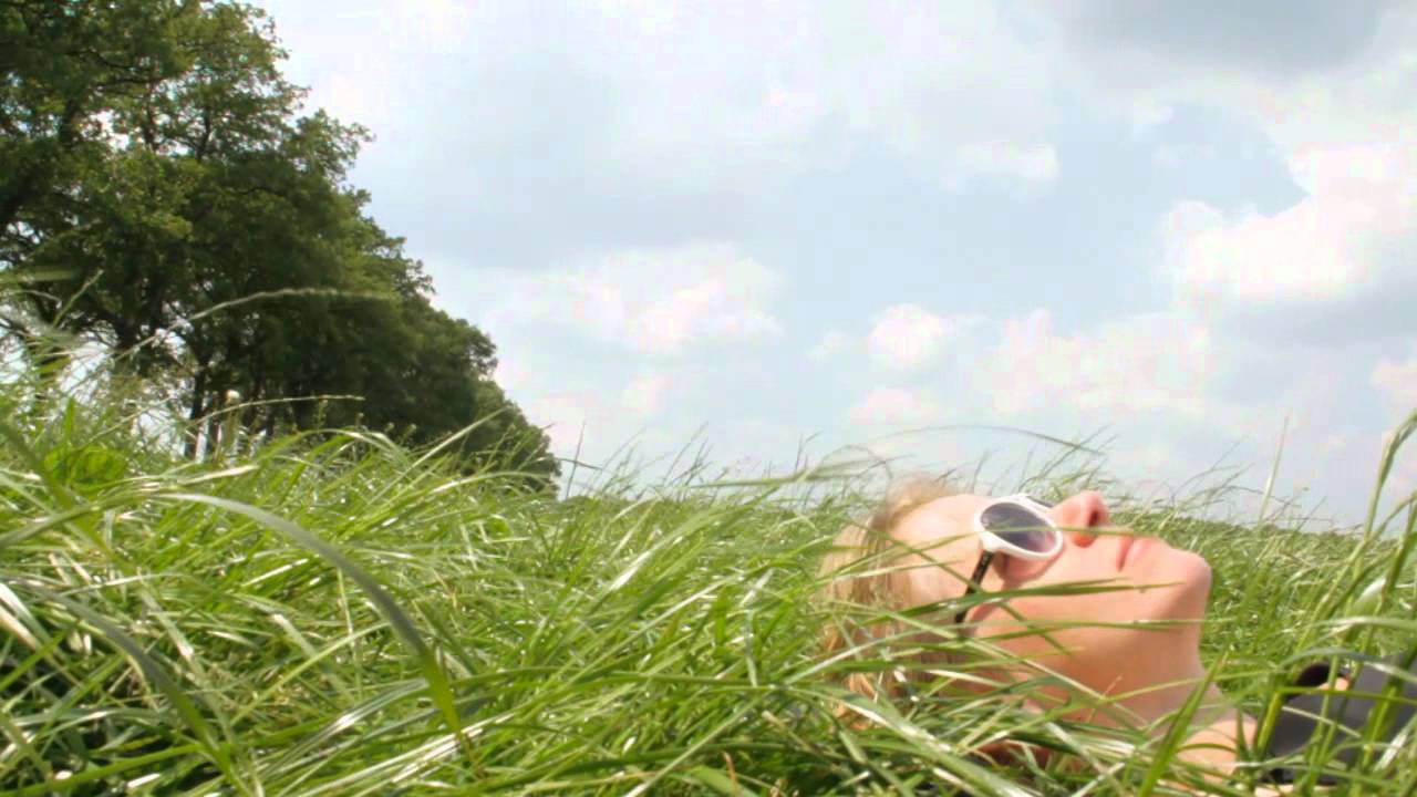De Doelleazen Ft. Else - De Alde Boekebeam