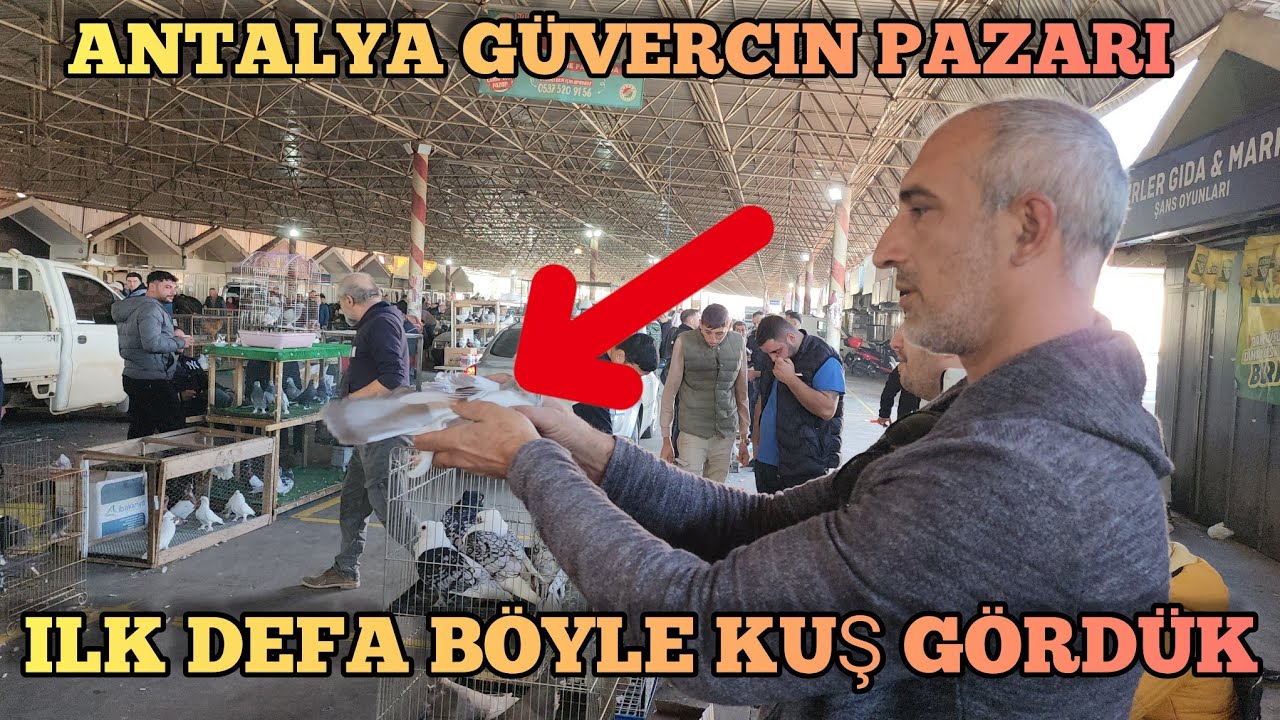Olum Bu Nasıl Kuş len İlk Defa Gördük Antalya Kuş Pazarı