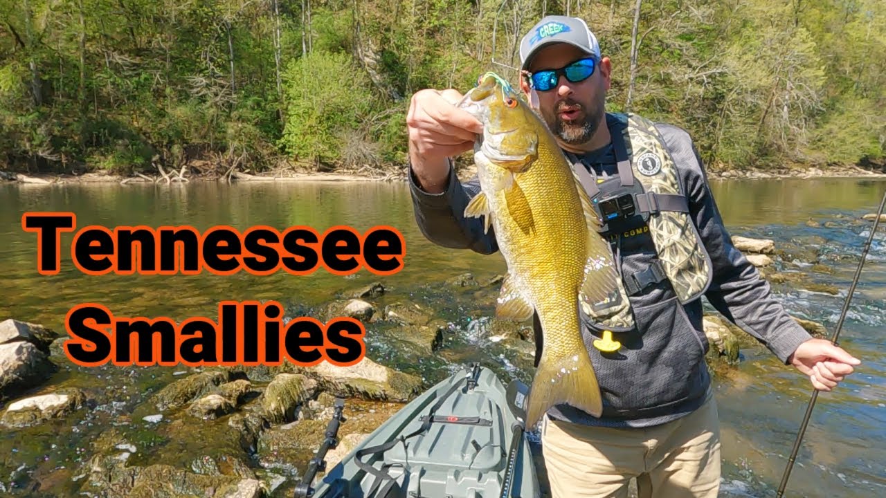 Весенняя рыбалка на малоротого окуня в Теннесси