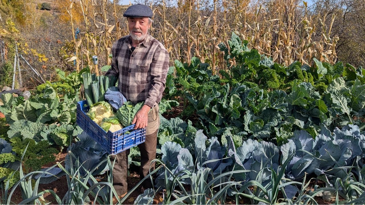 VERDURAS QUE NO FALLAN EN LA HUERTA para el frío