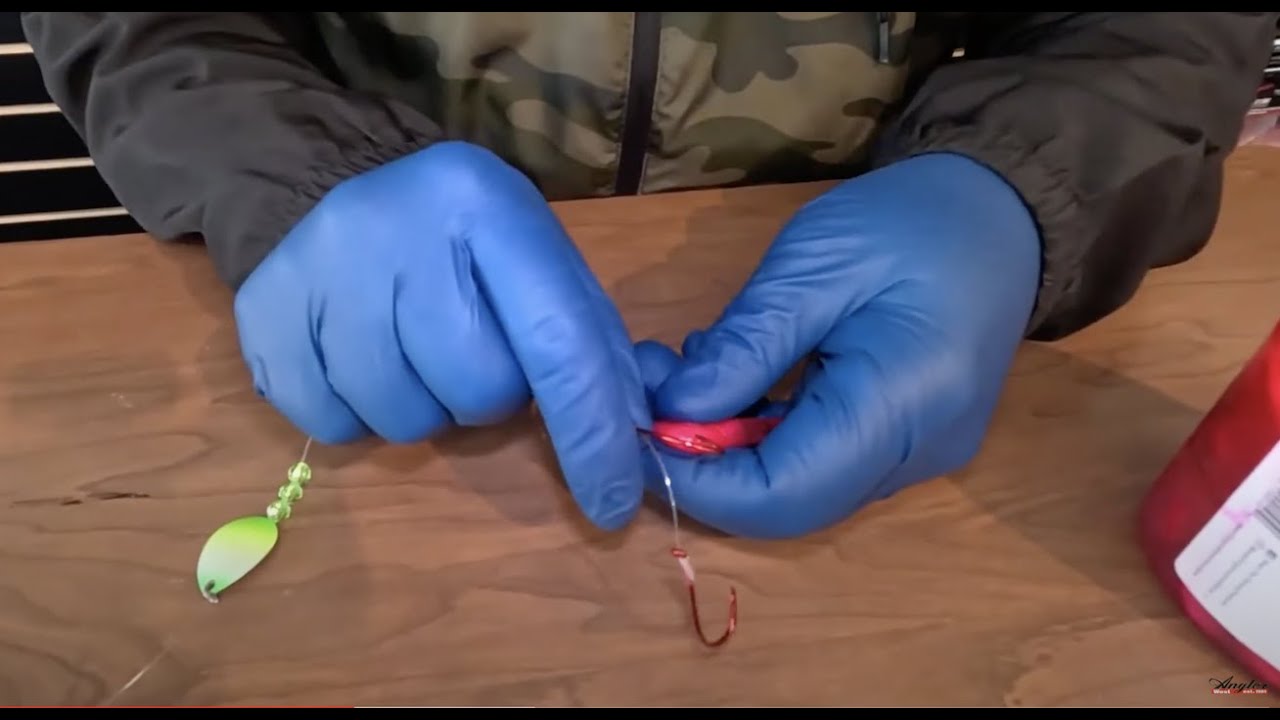 How to rig Coon Shrimp for Springers with Landon From Washington Coon Shrimp.
