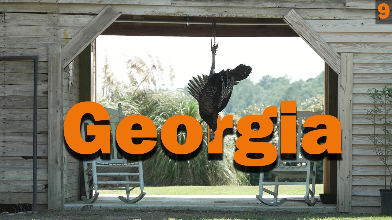 First Georgia Gobbler | He Attacked My Decoy!