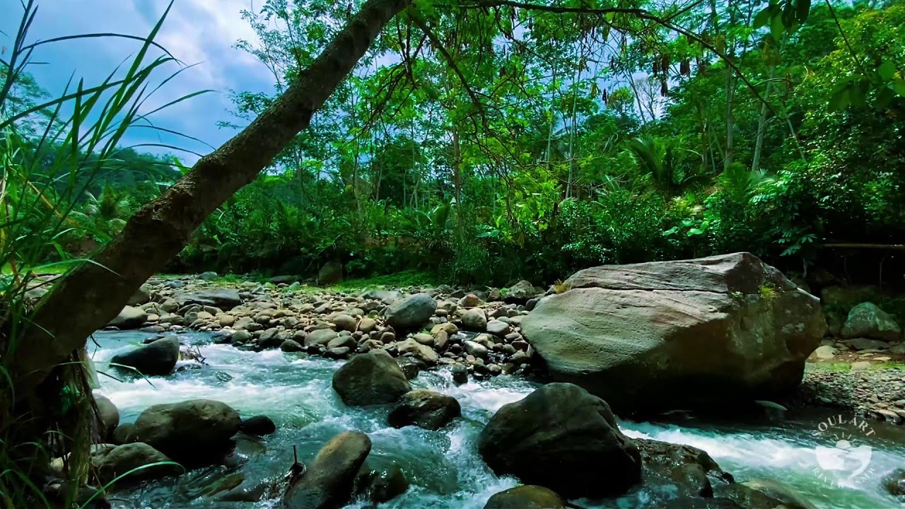 Midnight River Sounds ASMR | Calm Natural Water for Deep Relaxation